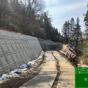 補助公共 社会資本総合整備(活力・一般)道路改良工事